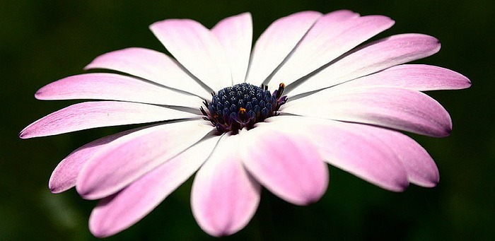 Der Sommer geht langsam zu Ende