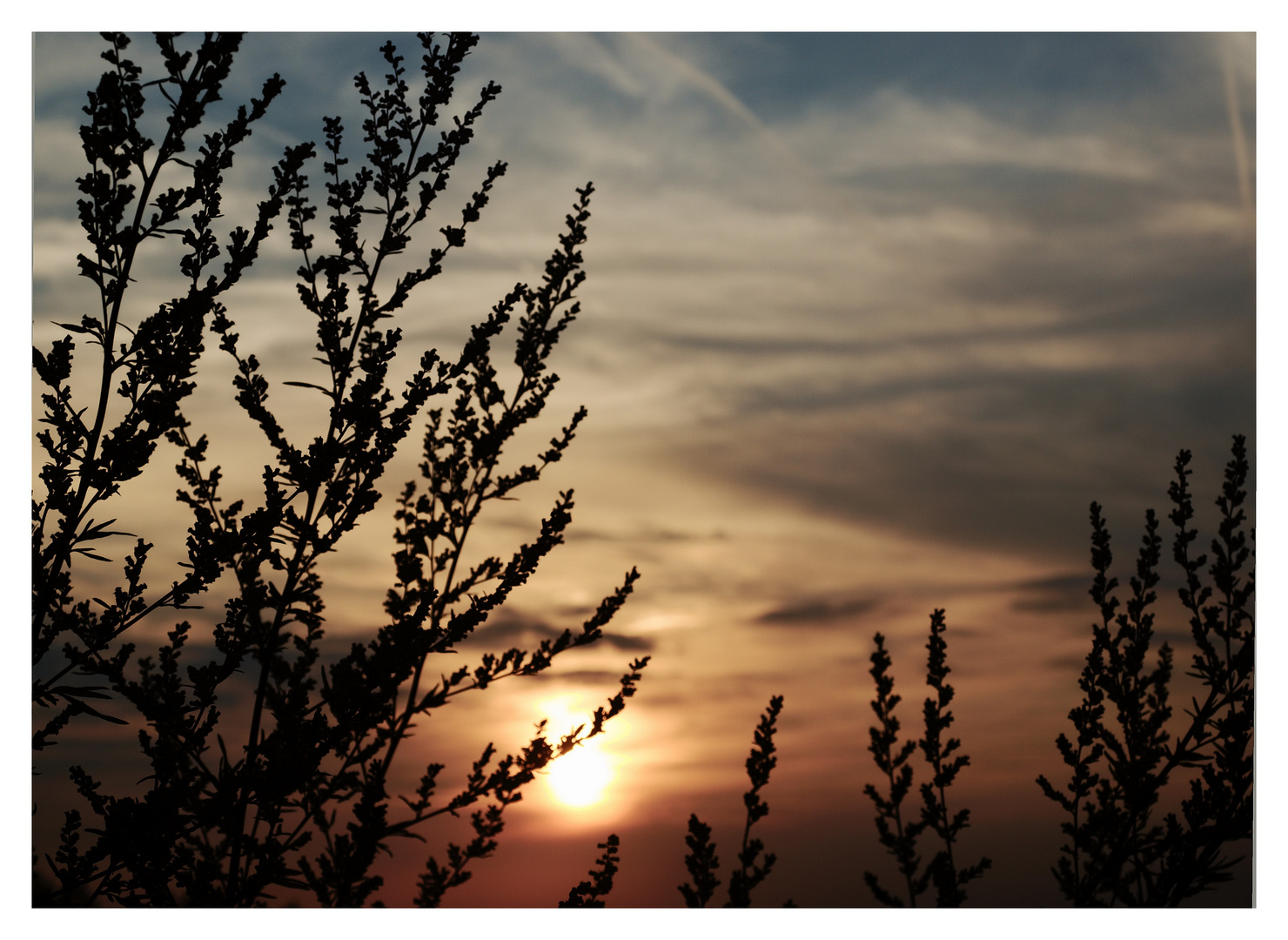 der Sommer geht langsam zu Ende