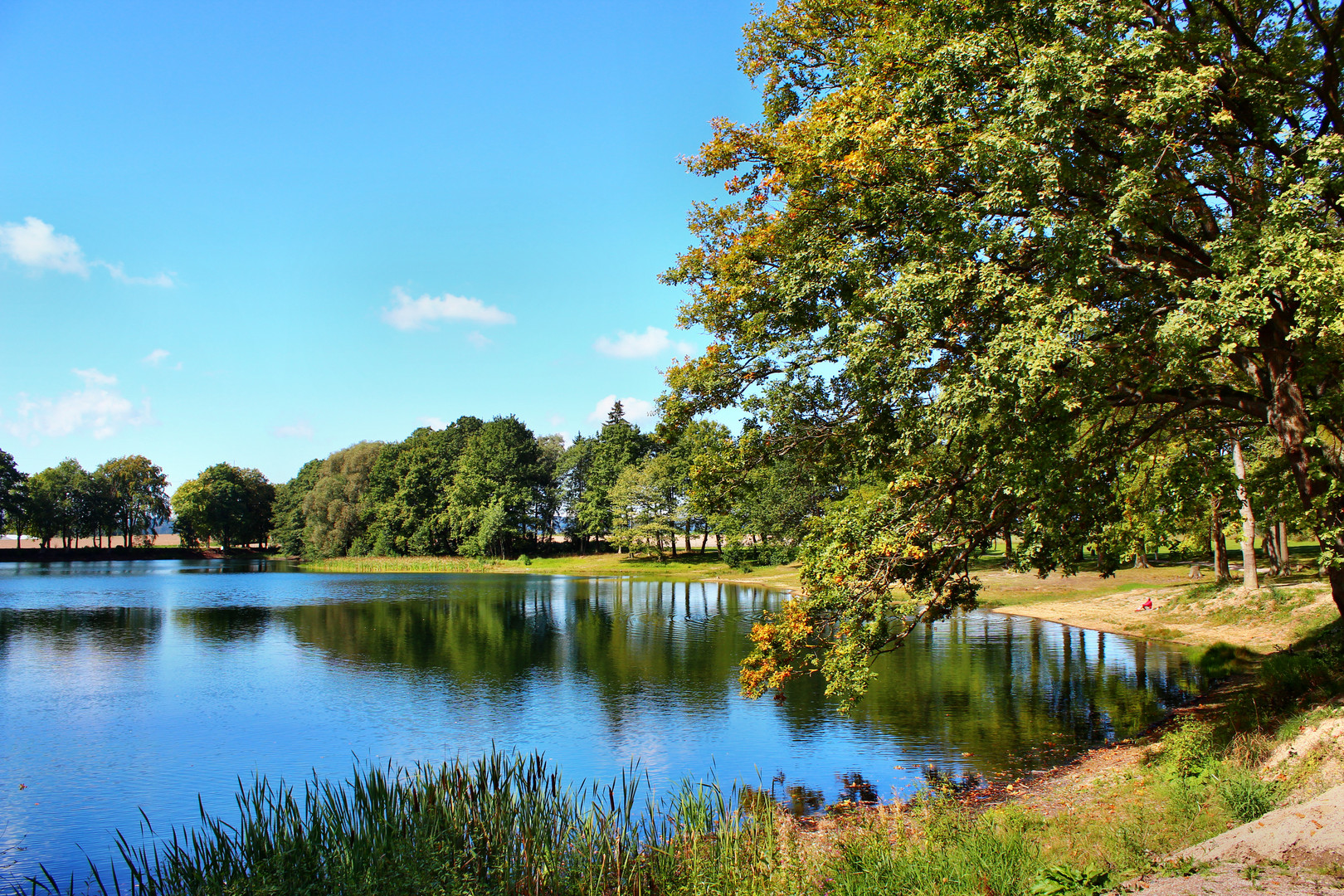 Der Sommer geht nahtlos in den herbst über