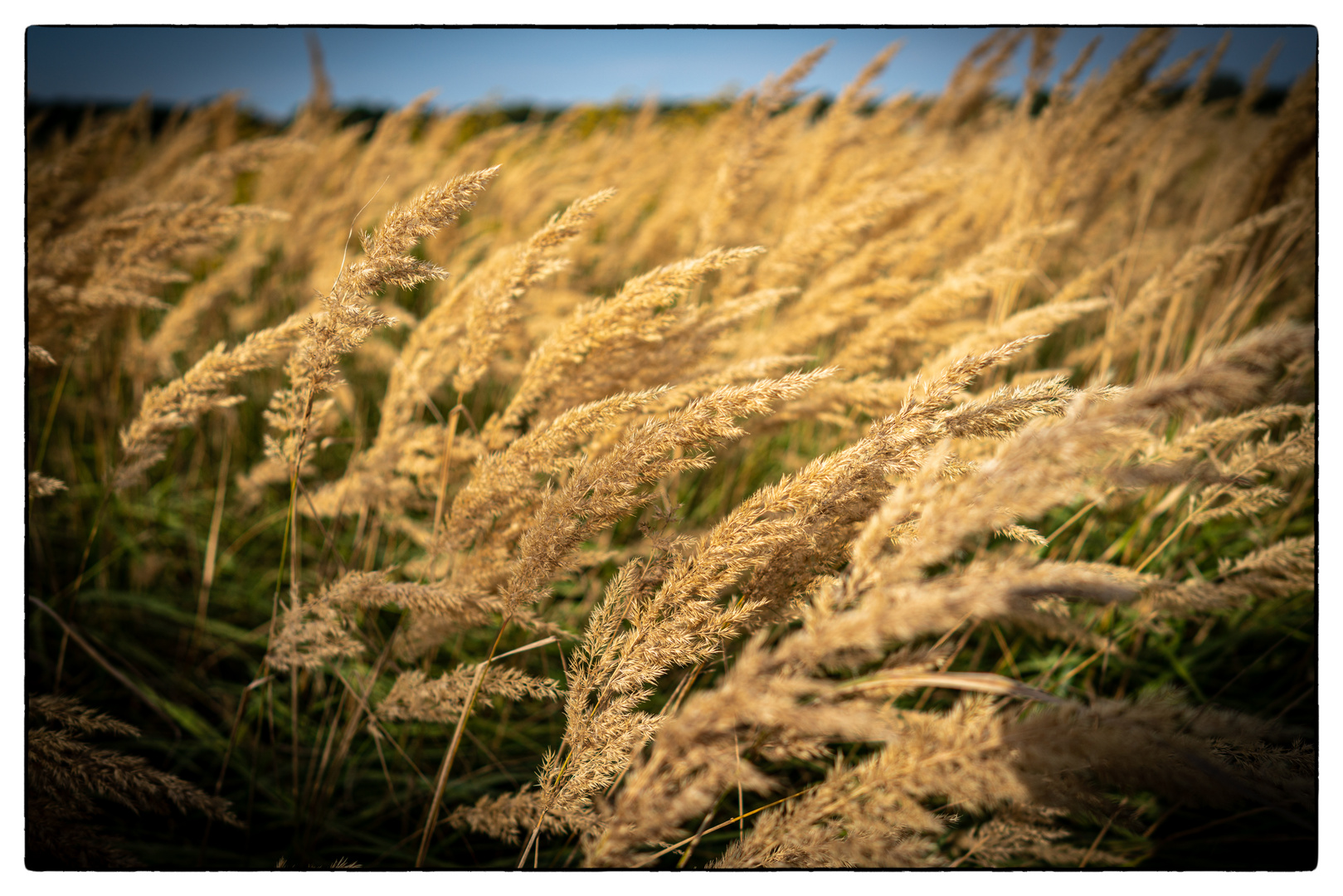 Der Sommer geht zu Ende!