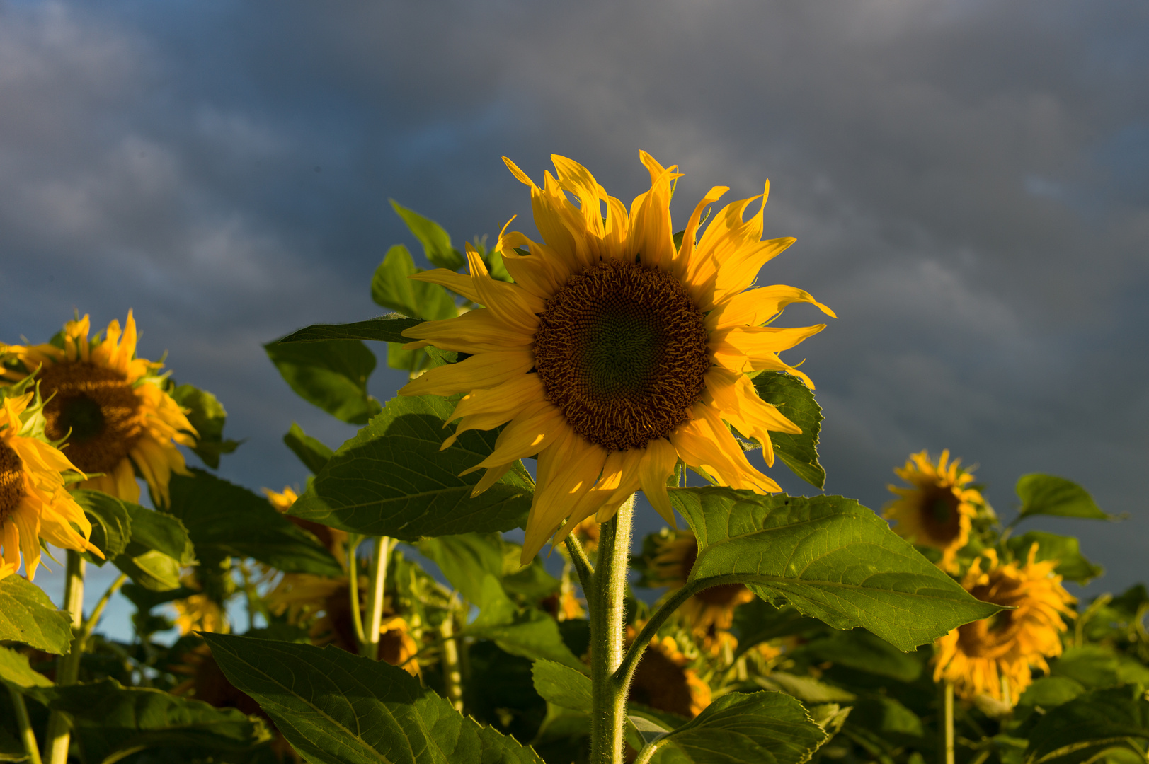 Der Sommer geht zu Ende