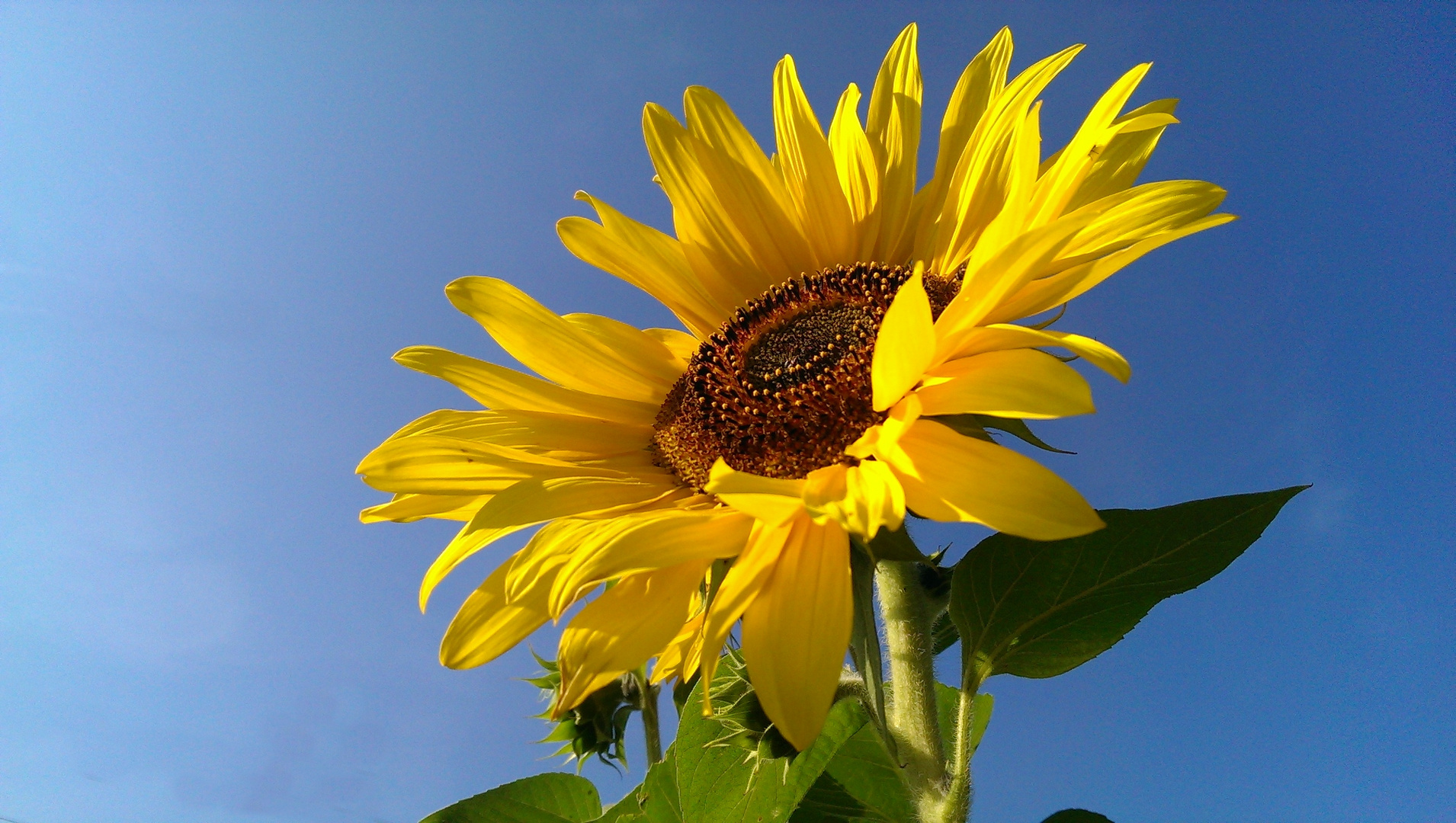 der Sommer geht zu Ende...