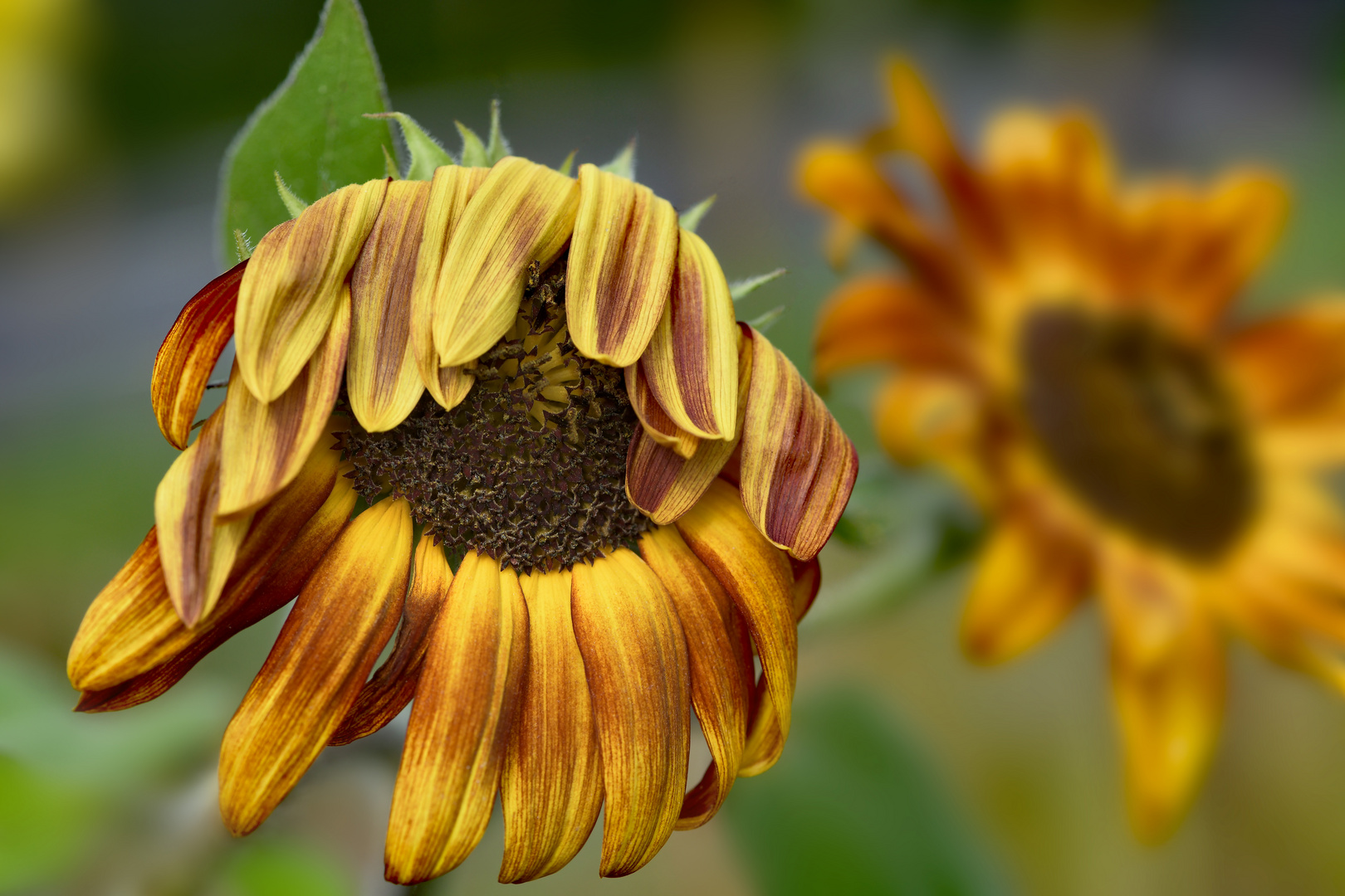 Der Sommer geht zu Ende