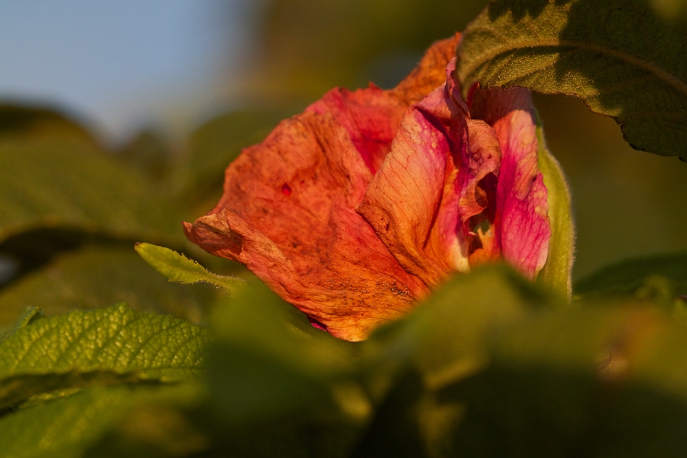 Der Sommer geht zu Ende