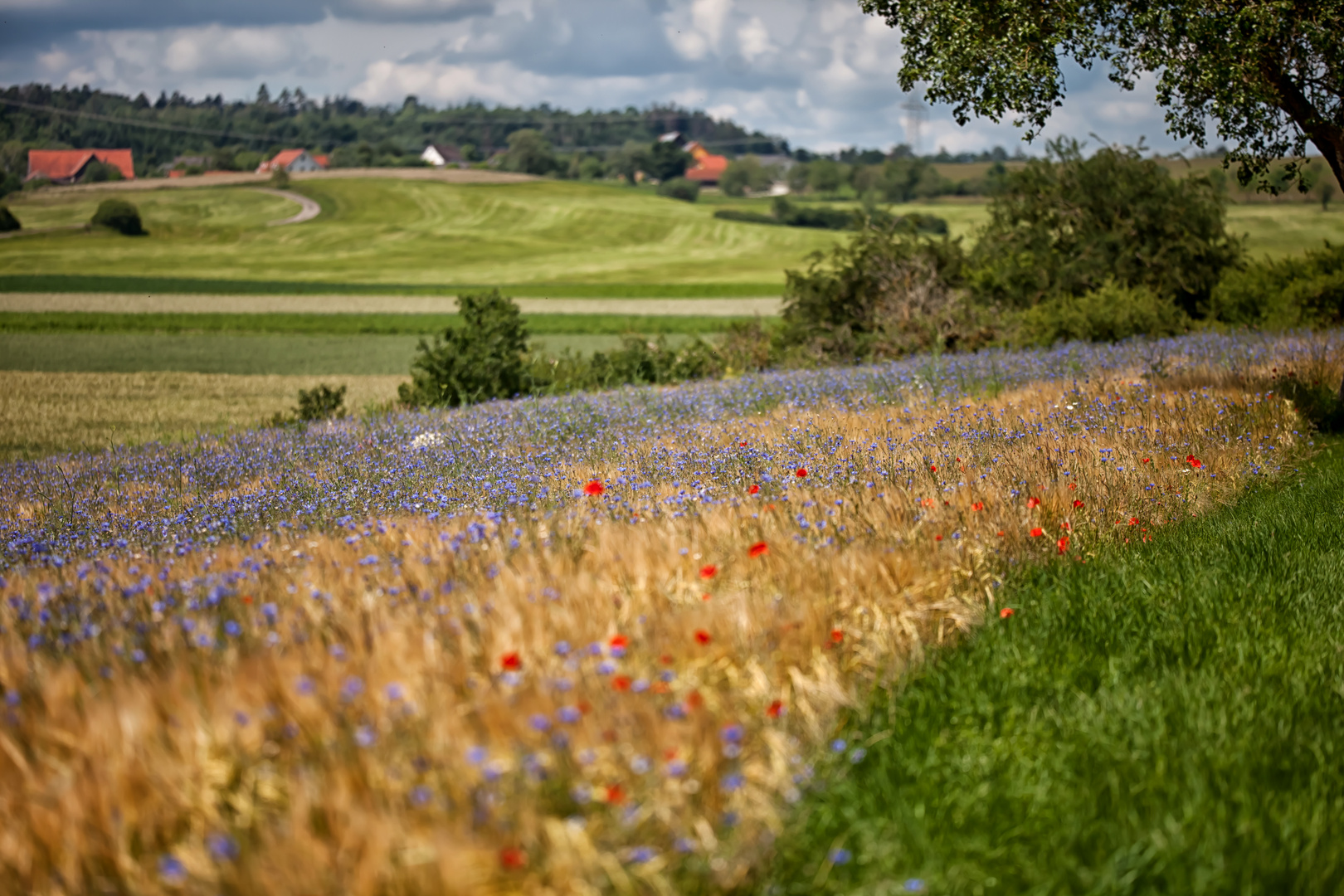 Der Sommer hat begonnen