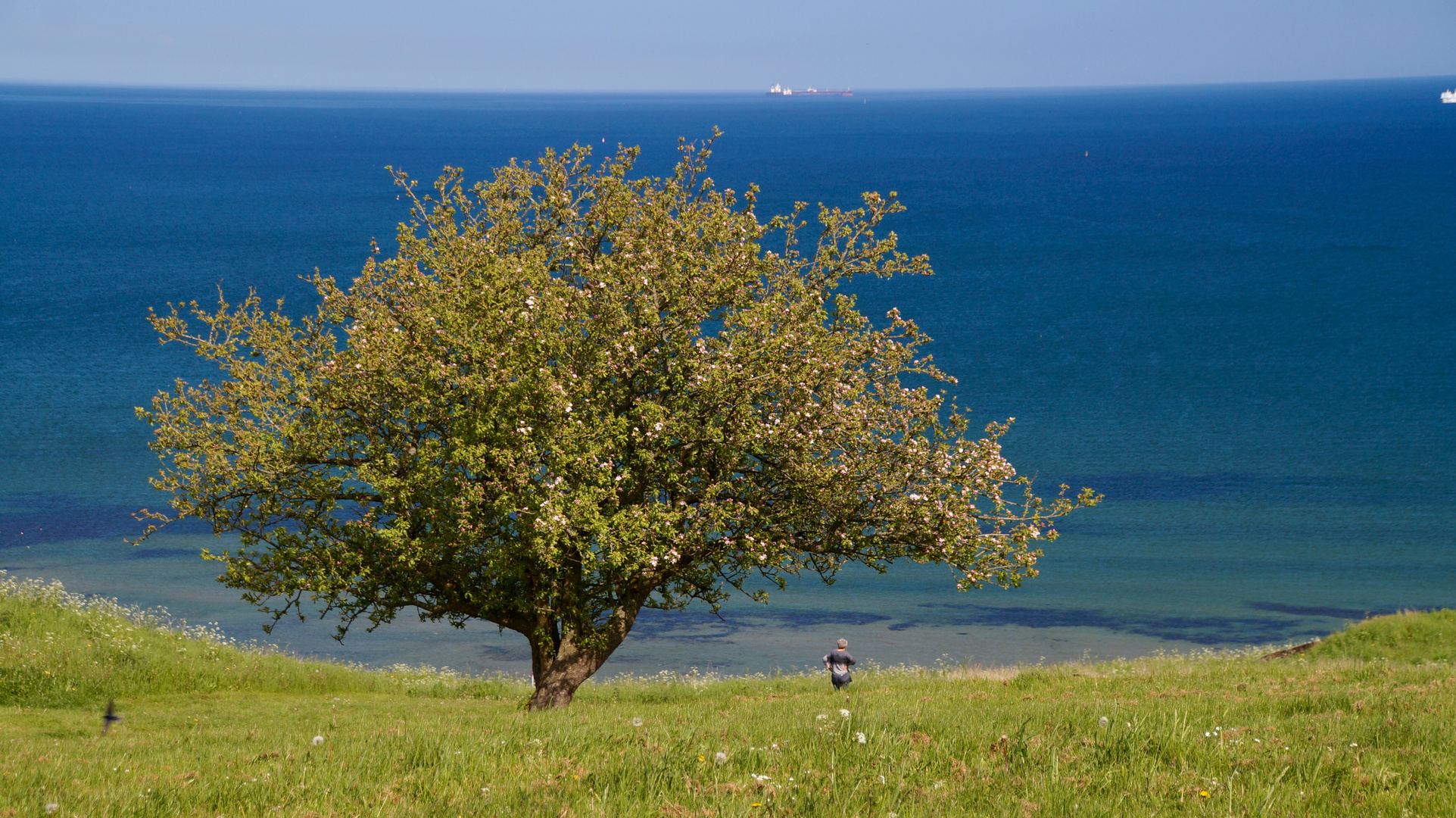 der Sommer hat sich ein letztes Mal aufgebäumt 