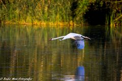 Der Sommer im Dorf 4