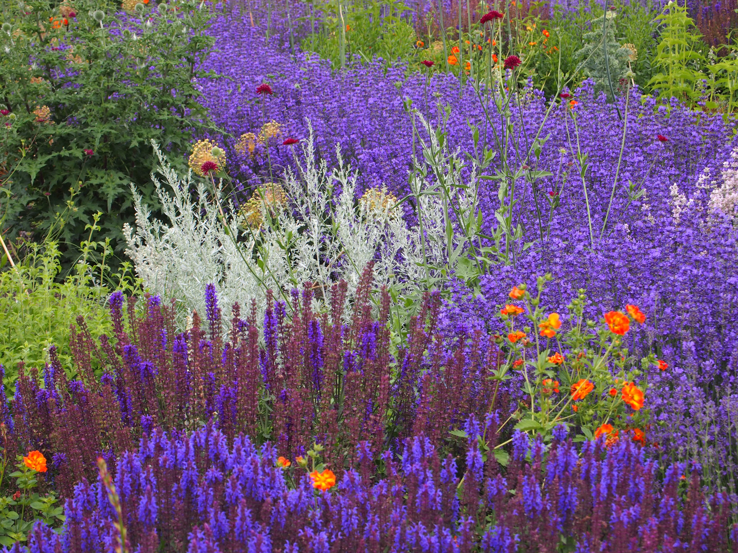 der Sommer im Garten