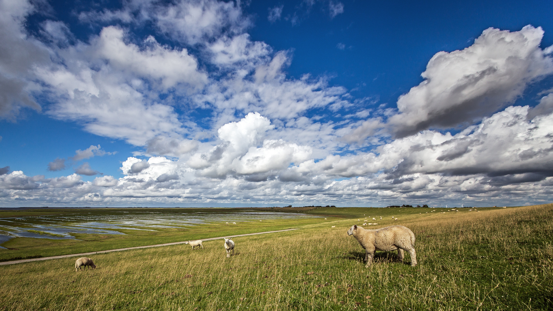 Der Sommer im Norden