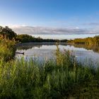 Der Sommer in der Lausitz