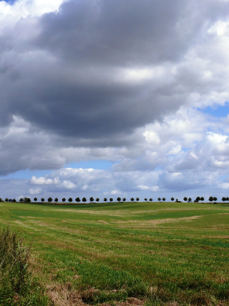 Der Sommer in Jütland neigt sich seinem Ende zu.