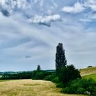 der Sommer in seiner ganzen Fülle