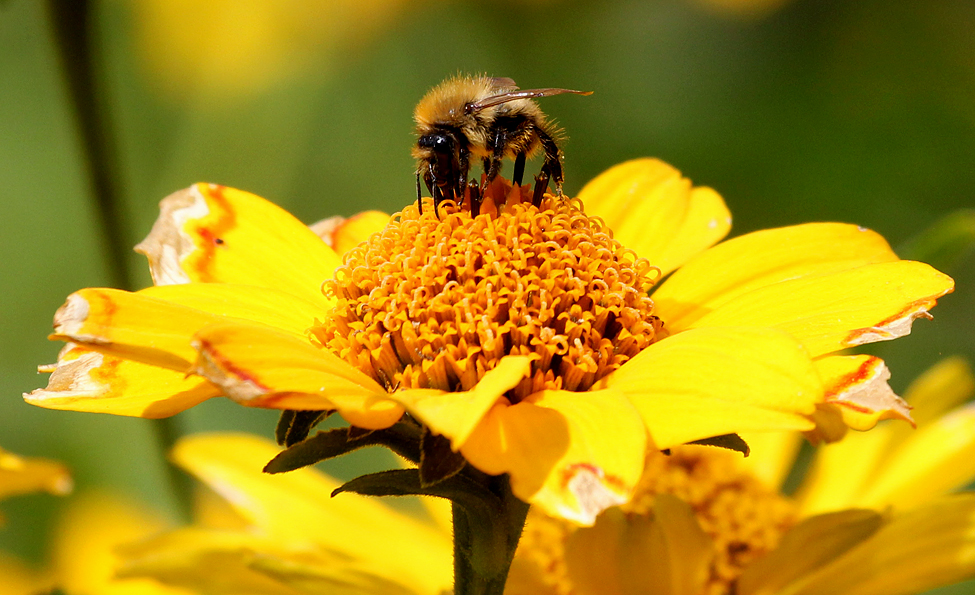 Der Sommer ist da!