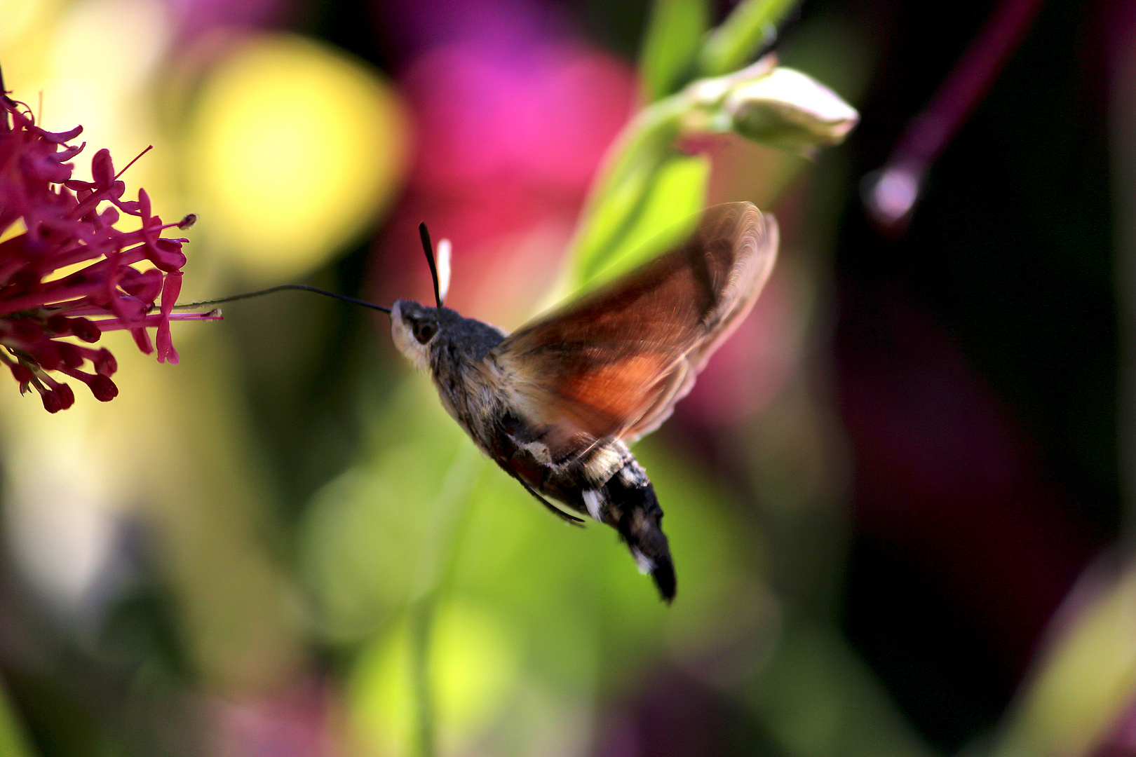 Der Sommer ist da!