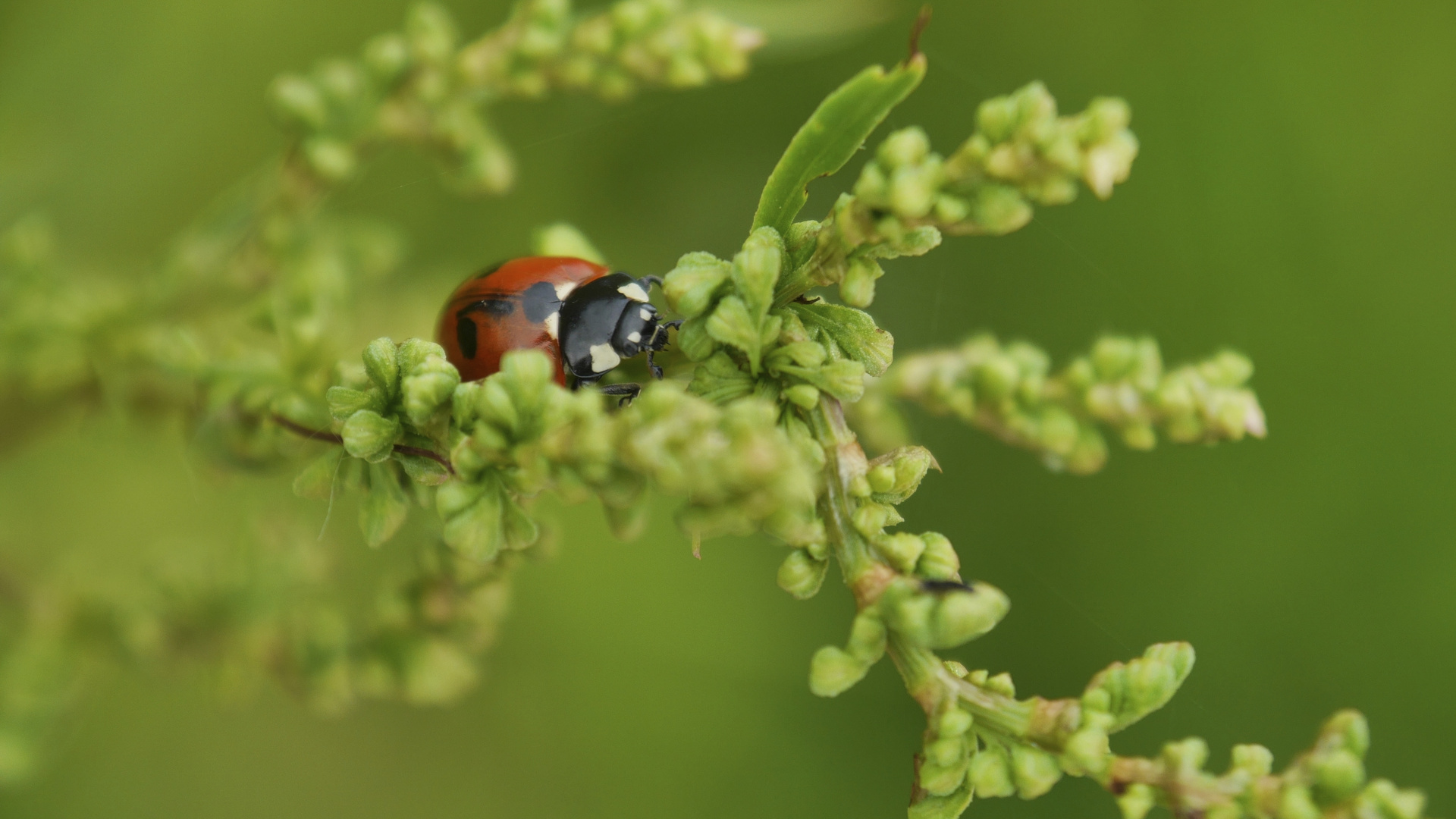 Der Sommer ist da !