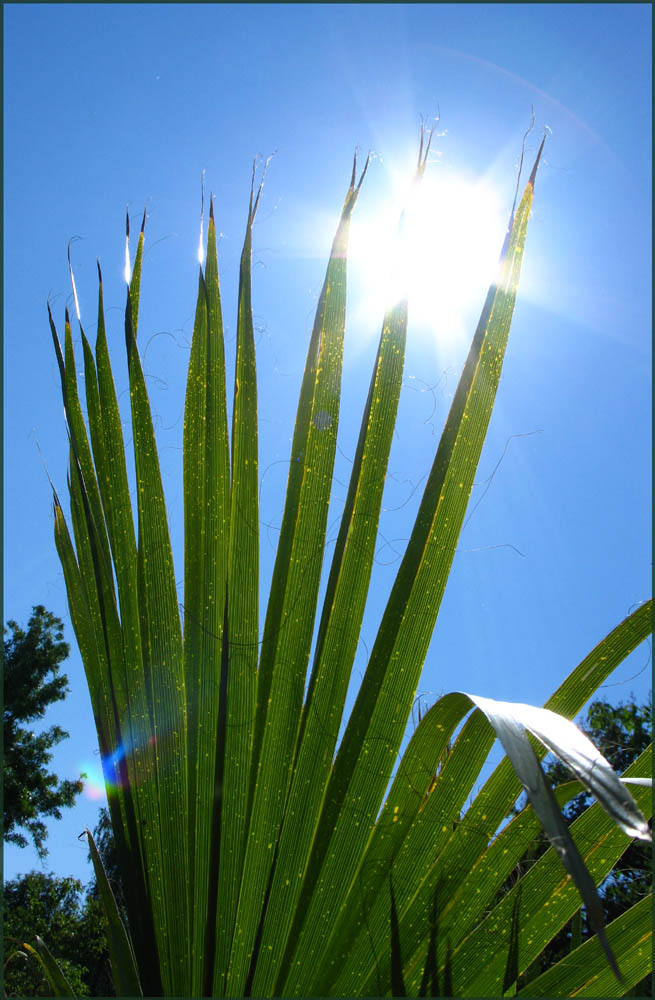 Der Sommer ist da!