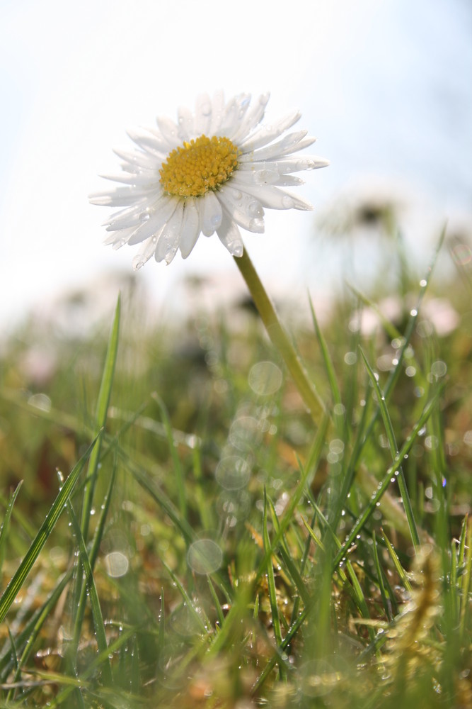 Der Sommer ist da!