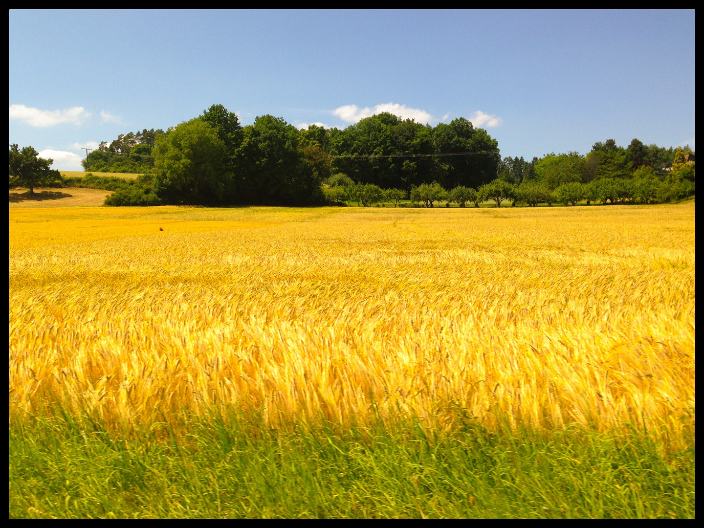 Der Sommer ist da ....