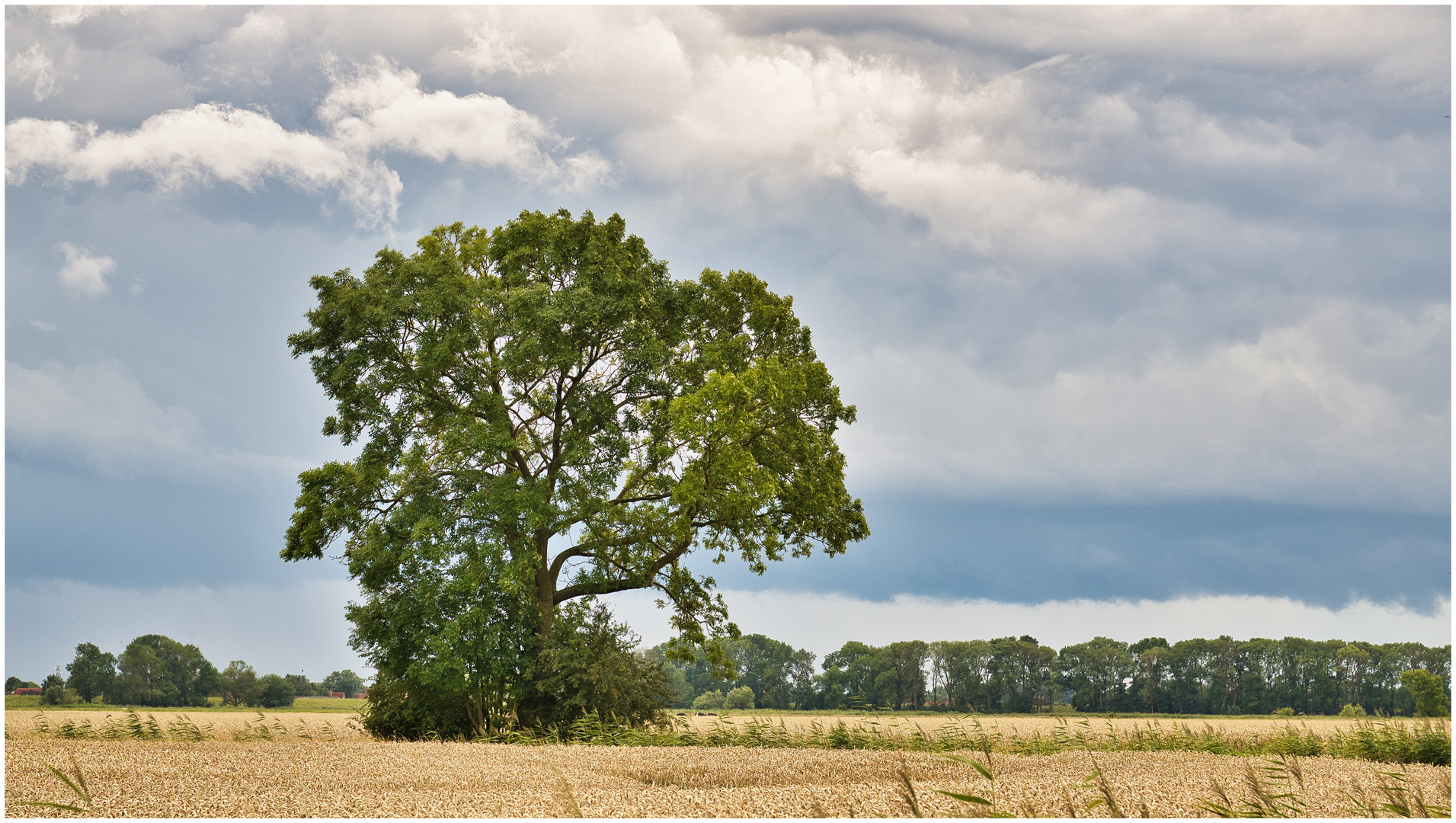 Der Sommer ist Herbst