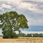 Der Sommer ist Herbst