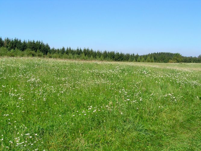 Der Sommer ist nicht aufzuhalten