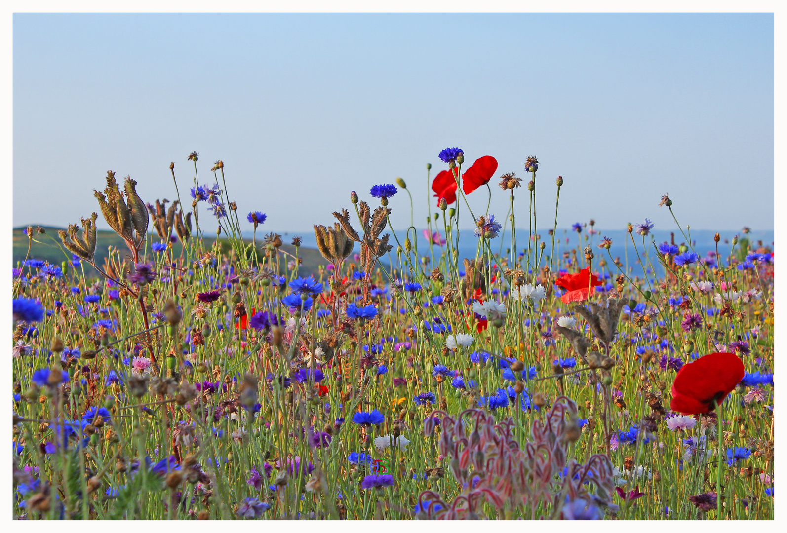 Der Sommer ist vorbei