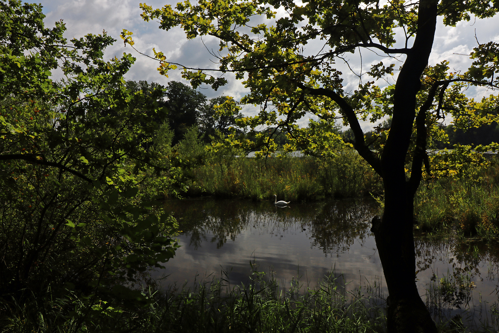 Der Sommer ist vorbei