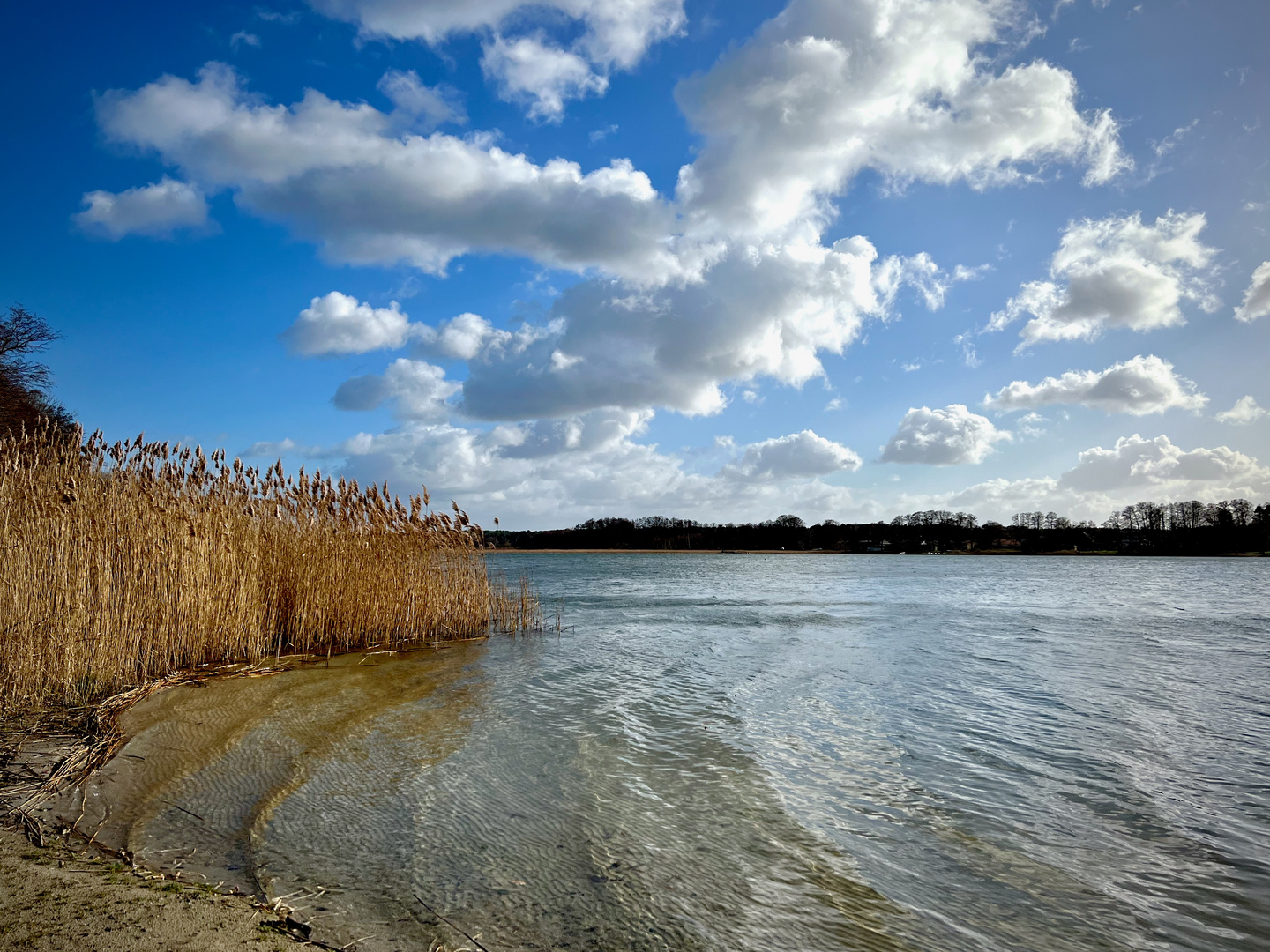 Der Sommer ist vorbei....