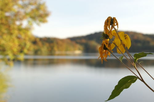 Der Sommer ist vorbei