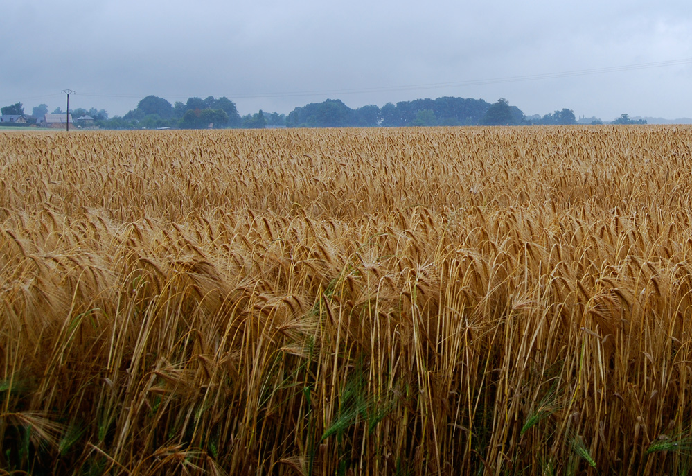 Der Sommer ist vorbei