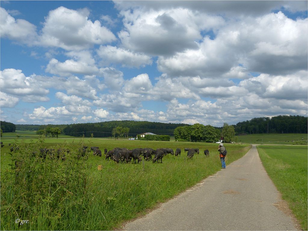 Der Sommer ist zurück