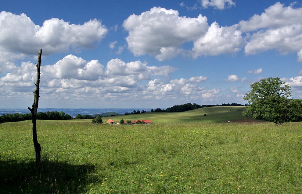 Der Sommer ist zurückgekehrt