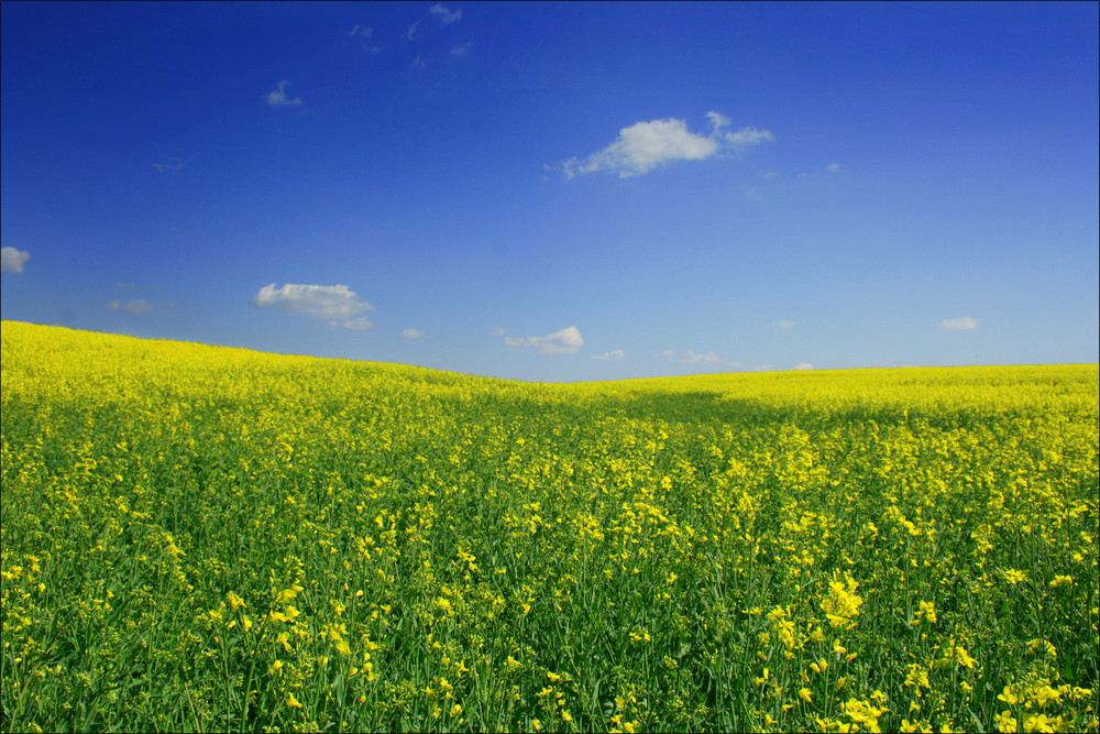 .Der Sommer kann kommen.