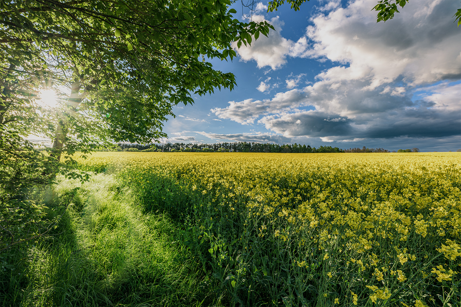 der Sommer kann kommen