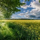 der Sommer kann kommen