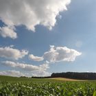 Der Sommer kehrt zurück