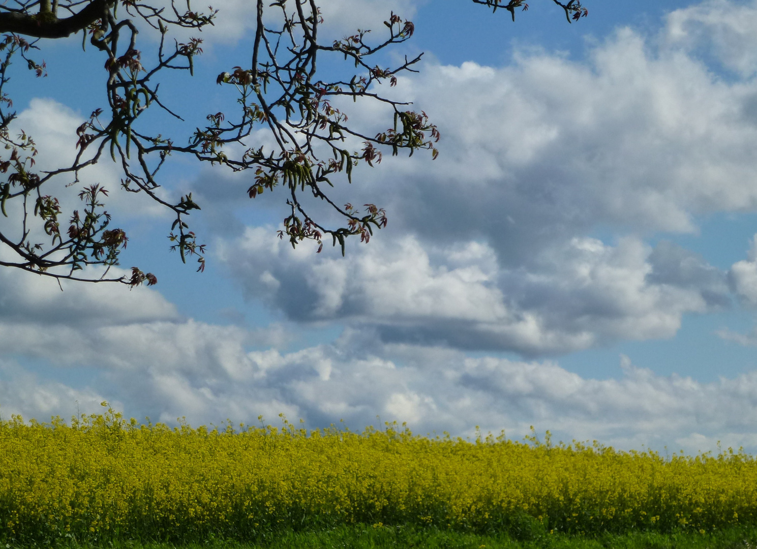 der Sommer kommt