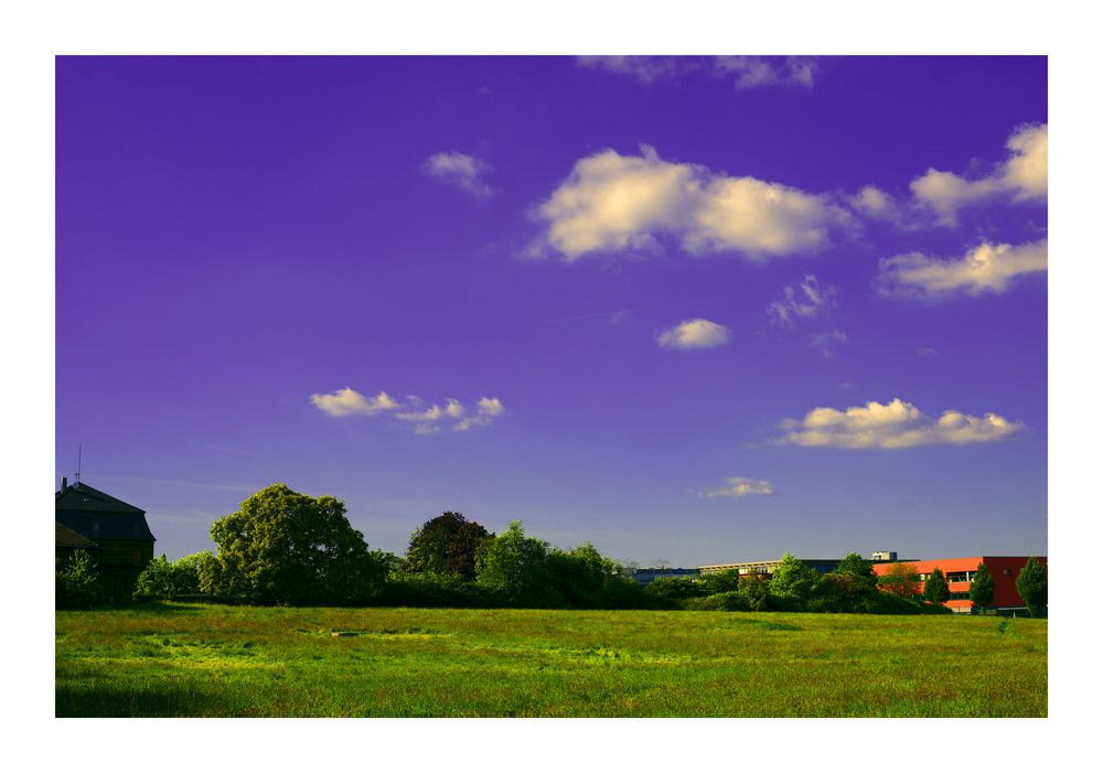 Der Sommer kommt!