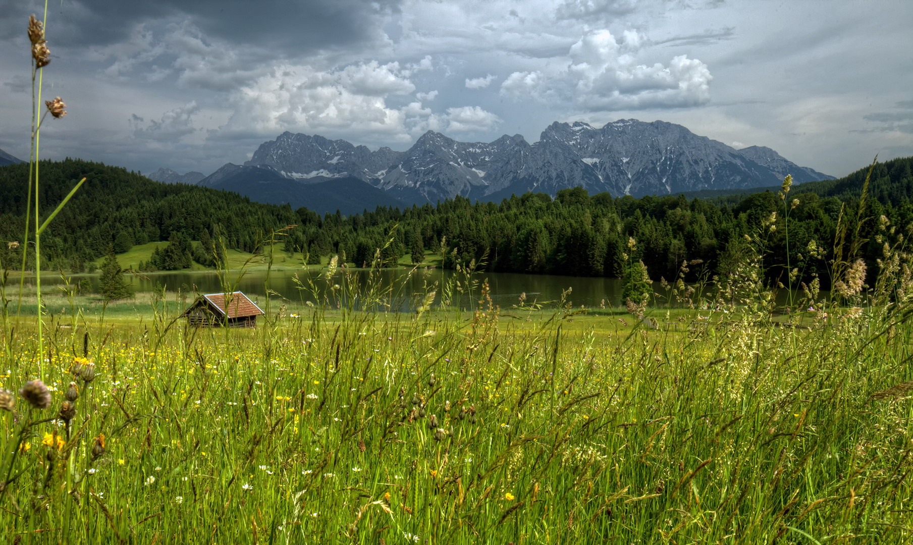 der Sommer kommt!