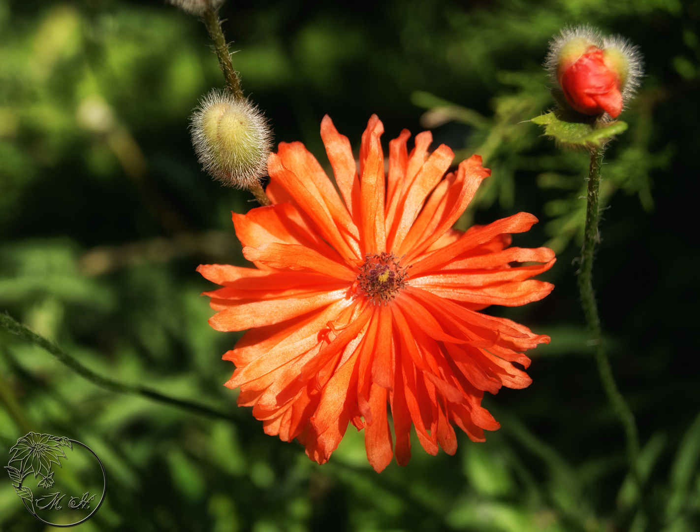 Der Sommer kommt :)