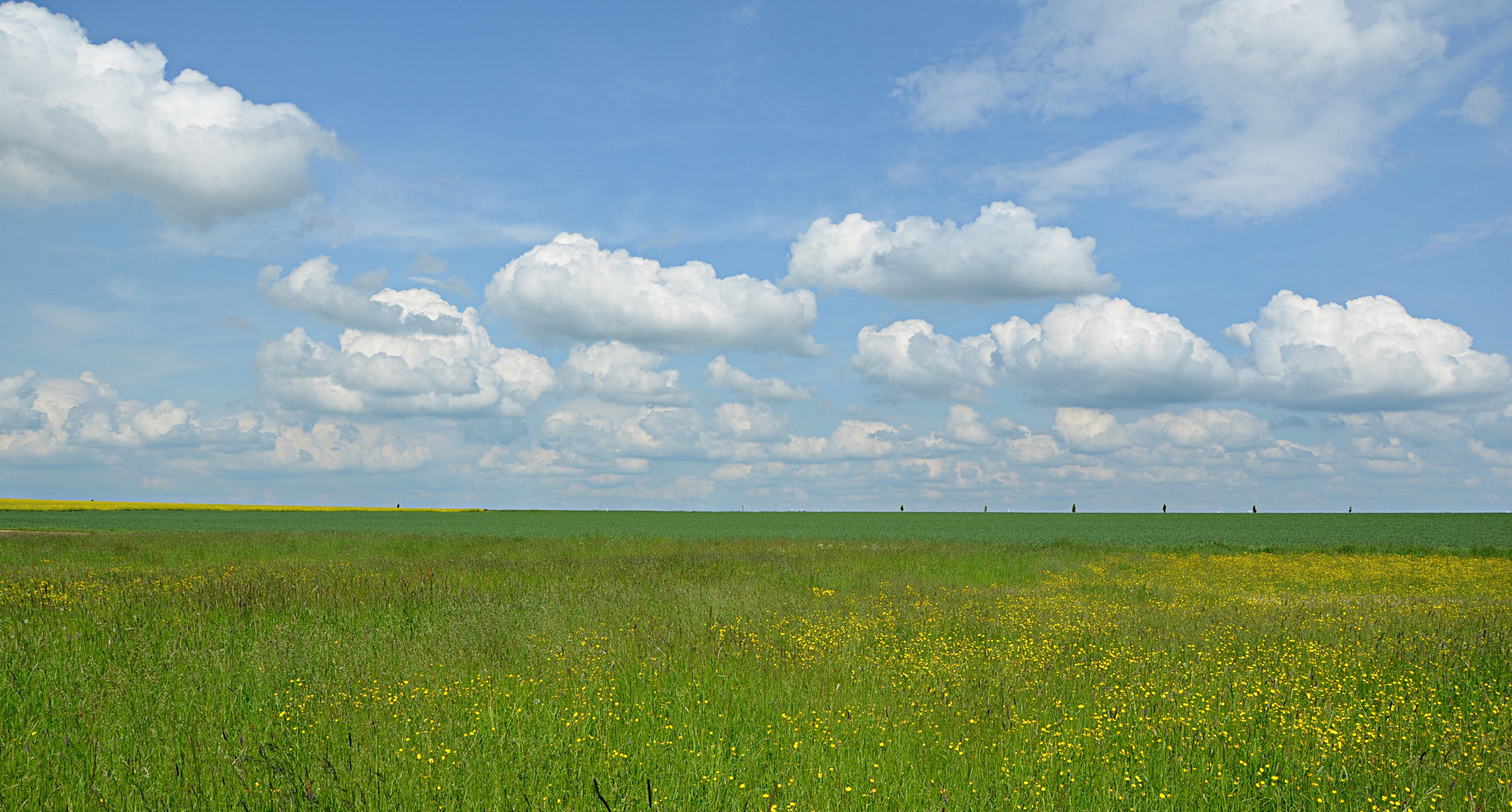 Der Sommer kommt..