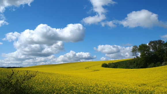 Der Sommer kommt