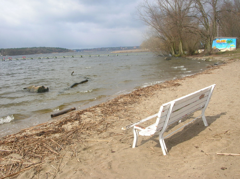 Der Sommer kommt bestimmt!