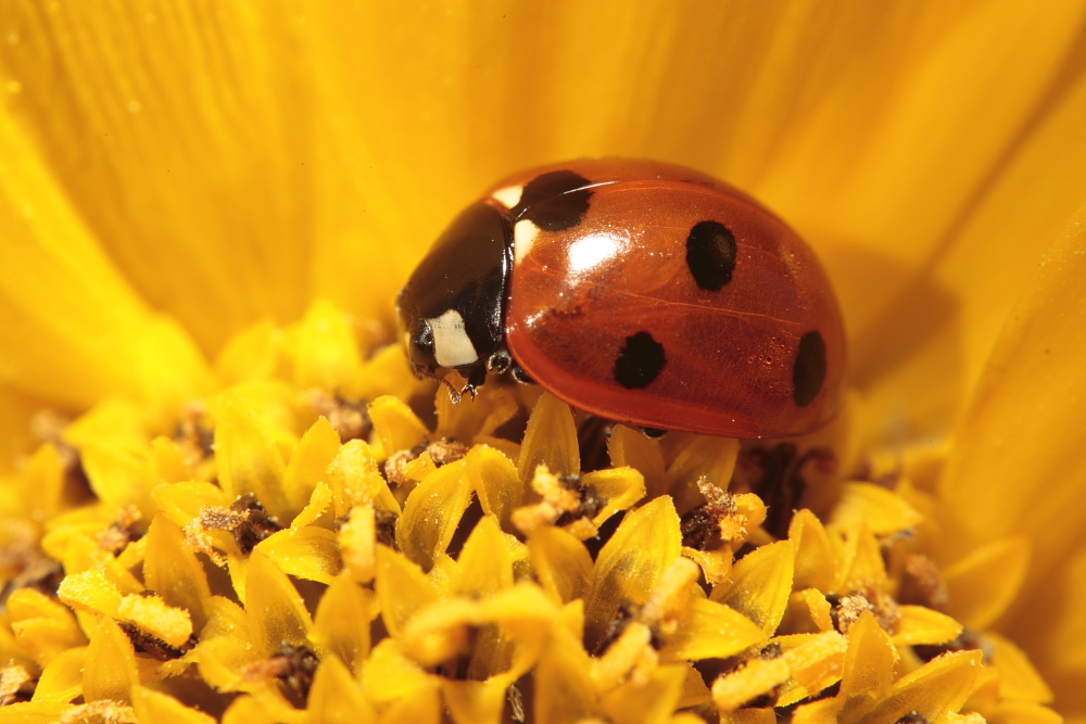 Der Sommer kommt doch noch