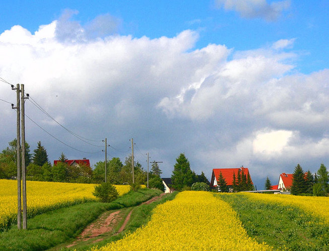 Der Sommer kommt ...