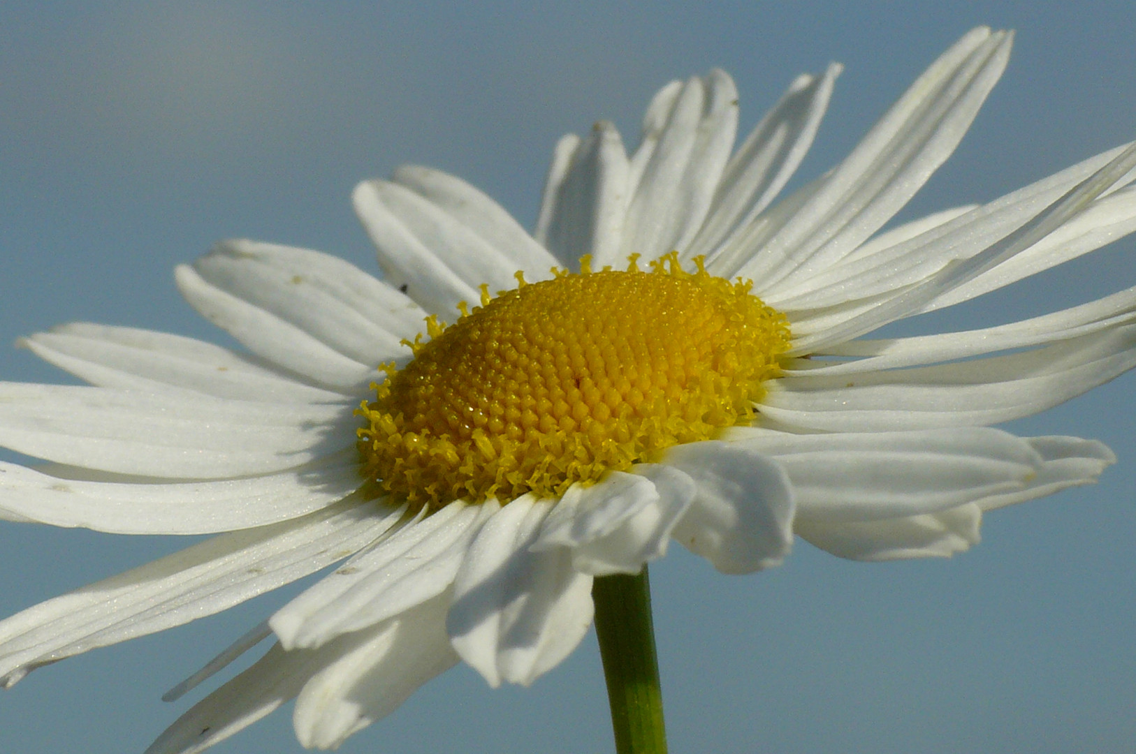 Der Sommer kommt