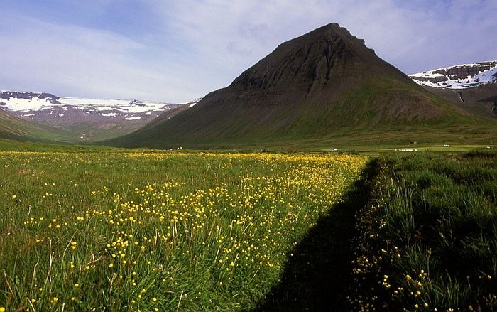 Der Sommer kommt in die Westfjorde ... (Korpudalur)