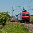 Der Sommer kommt in schnellen Schritten...