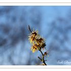 der Sommer kommt (irgendwann)