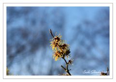 der Sommer kommt (irgendwann)